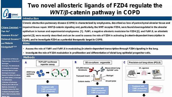 Two novel allosteric ligands of FZD4 regulate the WNT/β-catenin pathway in COPD