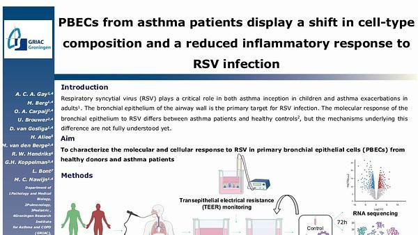 PBECs from asthma patients display a shift in cell-type composition and a reduced inflammatory response to RSV infection