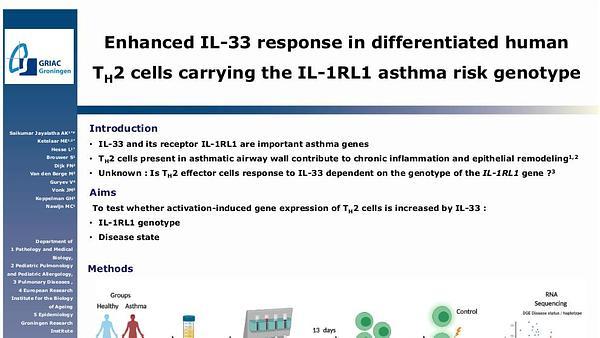 Enhanced IL-33 response in differentiated human TH2 cells carrying the IL-1RL1 asthma risk genotype