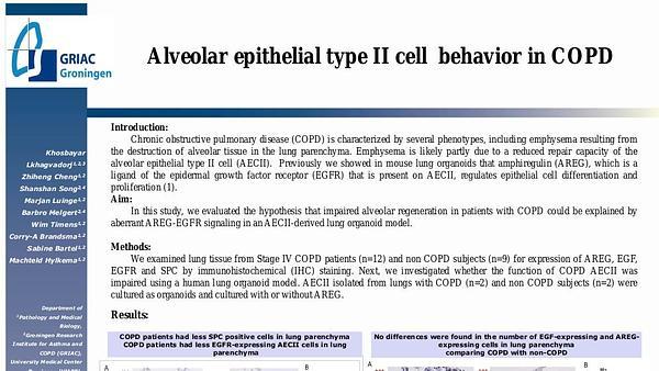 Alveolar epithelial type II cell behavior in COPD.
