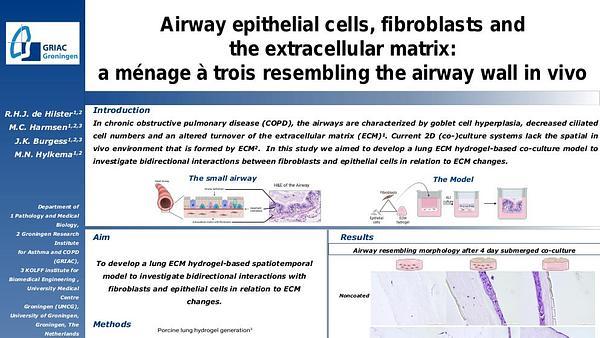 Airway epithelial cells, fibroblasts and the extracellular matrix: a ménage à trois resembling the airway wall in vivo
