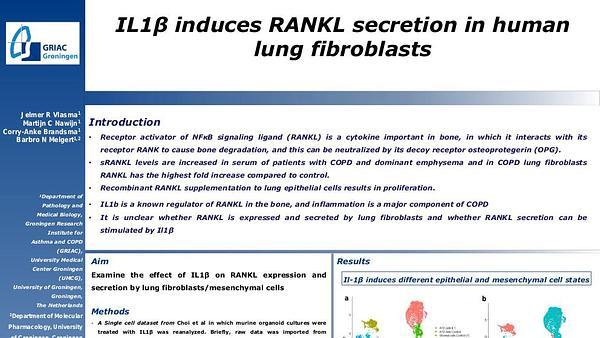 IL1β induces RANKL secretion in human lung fibroblasts