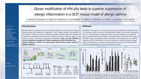 Glycan modification of rPhl p5a leads to superior suppression of allergic inflammation in a SCIT mouse model of allergic asthma