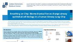 Breathing on Chip: studying the effect of biomechanical forces on airway epithelial cell biology using a modular Airway Lung-Chip
