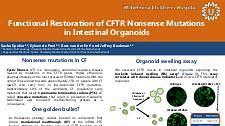 Functional Restoration of CFTR Nonsense Mutations in Intestinal Organoids