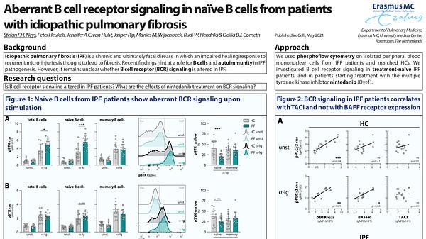 Aberrant B cell receptor signaling in naïve B cells from patients with idiopathic pulmonary fibrosis