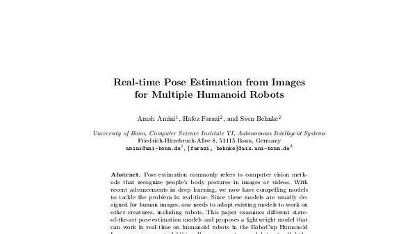Real-time Pose Estimation from Images for Multiple Humanoid Robots