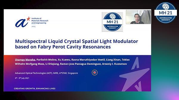 Multispectral Liquid Crystal Spatial Light Modulator based on Fabry-Perot Cavity Resonances