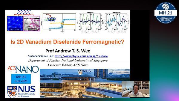 Is 2D Vanadium Diselenide Ferromagnetic?