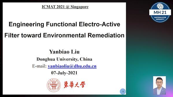Engineering Functional Electro-Active Filter toward Environmental Remediation