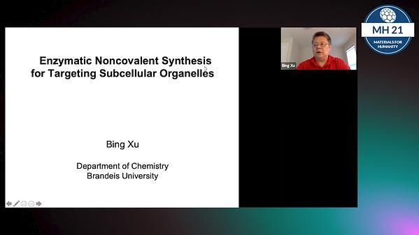 Enzymatic Noncovalent Synthesis for Targeting Subcellular Organelles