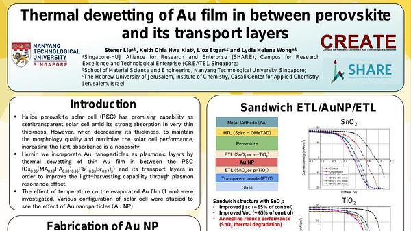Thermal dewetting of Au film in between perovskite and its transport layers
