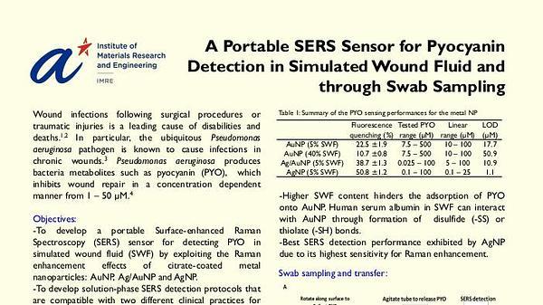 A Portable SERS Sensor for Pyocyanin Detection in Simulated Wound Fluid and through Swab Sampling