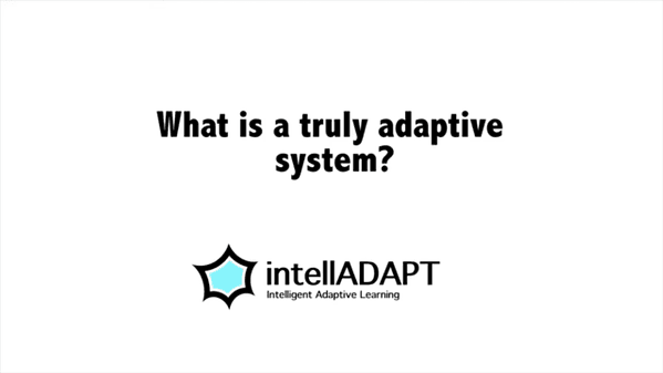 What is a truly adaptive system?
