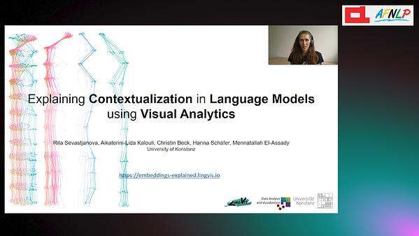 Explaining Contextualization in Language Models using Visual Analytics