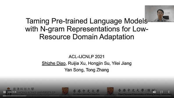 Taming Pre-trained Language Models with N-gram Representations for Low-Resource Domain Adaptation