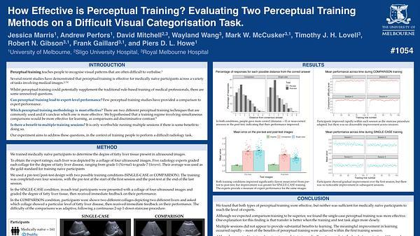 How effective is perceptual training? Evaluating two perceptual training methods on a difficult visual categorisation task