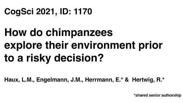 How do chimpanzees explore their environment prior to a risky decision?