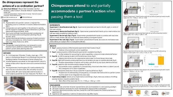 Do chimpanzees represent the actions of a co-ordination partner?