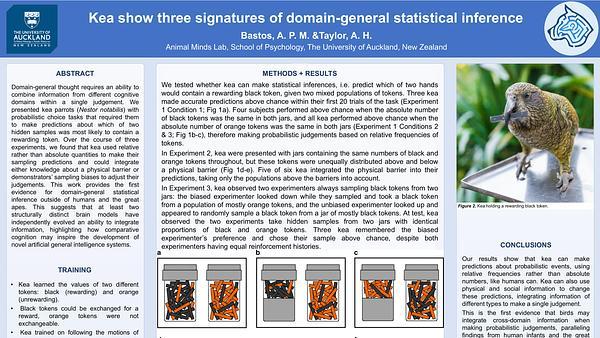 Kea show three signatures of domain-general inference