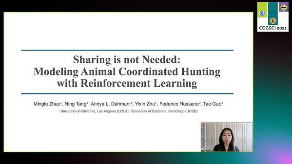 Sharing is not Needed: Modeling Animal Coordinated Hunting with Reinforcement Learning