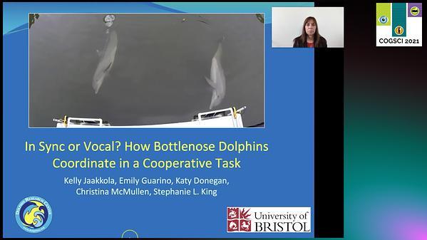 In Sync or Vocal? How Bottlenose Dolphins Coordinate in a Cooperative Task