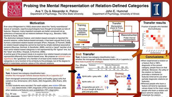 Probing the Mental Representation of Relation-Defined Categories
