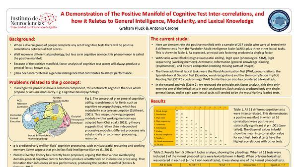 A Demonstration of The Positive Manifold of Cognitive Test Inter-correlations, and how it Relates to General Intelligence, Modularity, and Lexical Knowledge