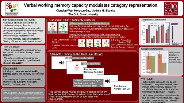 Verbal working memory capacity modulates category representation.