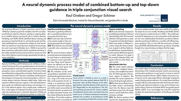 A neural dynamic process model of combined bottom-up and top-down guidance in triple conjunction visual search
