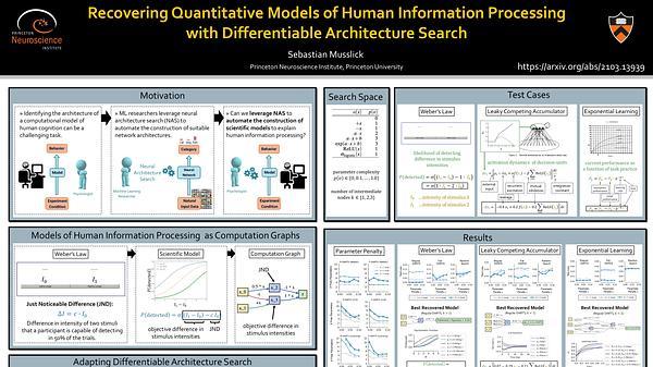 Recovering Quantitative Models of Human Information Processing with Differentiable Architecture Search