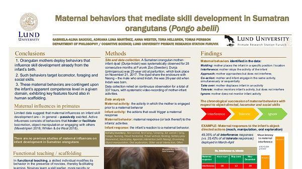 Maternal behaviors that mediate skill development in Sumatran orangutans
