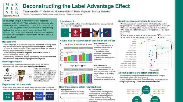 Deconstructing the Label Advantage Effect