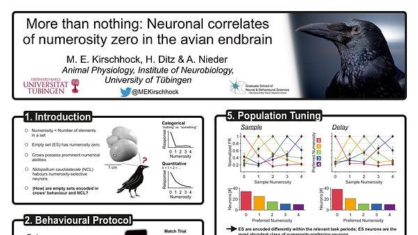 More than nothing: Behavioural and neuronal correlates of numerosity zero in the carrion crow