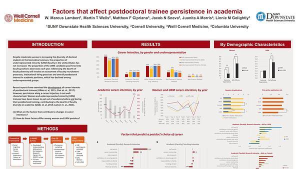 Factors that affect postdoctoral trainee persistence in academia