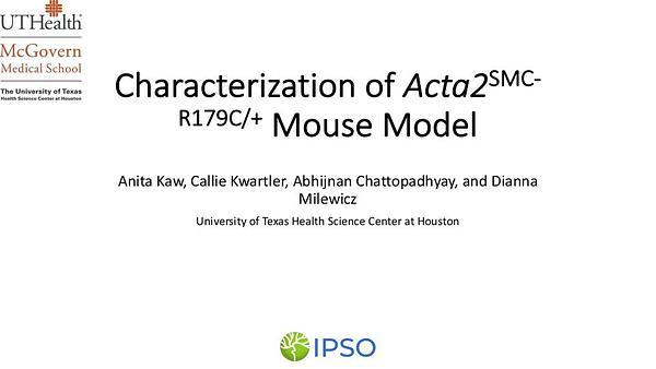 Characterization of vascular disease in Acta2 SMC-R179C/+ mice