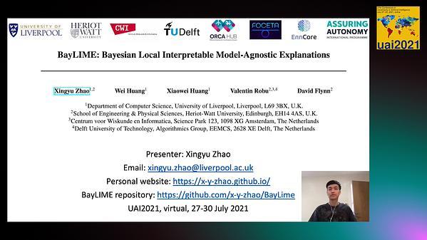 Bayesian Local Interpretable Model-Agnostic Explanations