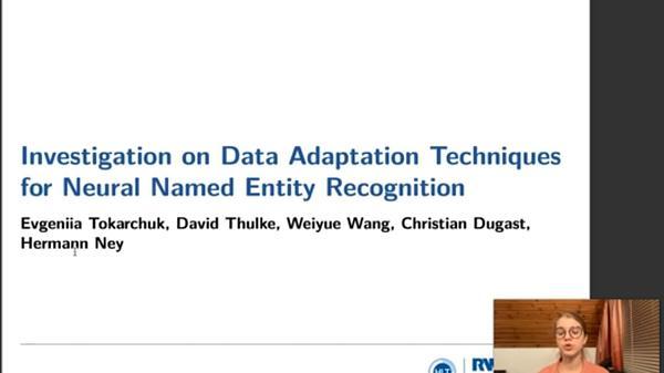 Investigation on Data Adaptation Techniques for Neural Named Entity Recognition