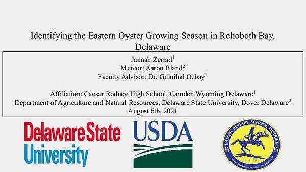 Identifying the Eastern Oyster Growing Season in Rehoboth Bay, Delaware