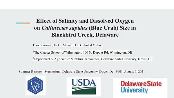 Effect of Salinity and Dissolved Oxygen on Blue Crab (Callinectes sapidus) Size in Blackbird Creek, Delaware
