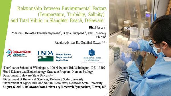Relationship between Environmental Factors​ (Temperature, Turbidity, Salinity) ​ and Total Vibrio in Slaughter Beach, Delaware