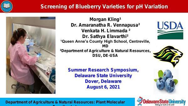 Screening of Blueberry Varieties for pH Variation