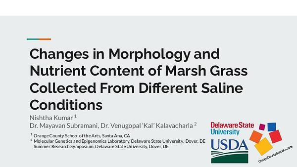 Changes in the Morphology and Nutrient Content of the Marsh Grass Collected from Different Saline Conditions