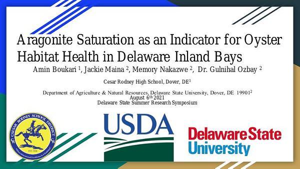 Aragonite Saturation as an Indicator for Oyster Habitat Health in Delaware Inland Bays