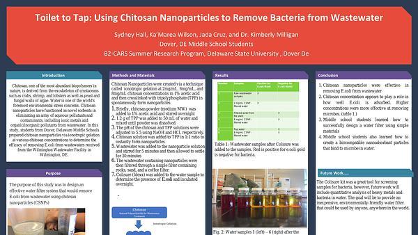 Toilet to Tap: Using Chitosan Nanoparticles to Remove Bacteria from Wastewater