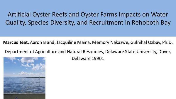 Artificial Oyster Reefs and Oyster Farms Impacts on Water Quality, Species Diversity, and Recruitment in Rehoboth Bay