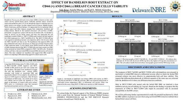 Effects of Dandelion Root Extract (DRE) on CD44(+) and CD44(-) for Cell Viability
