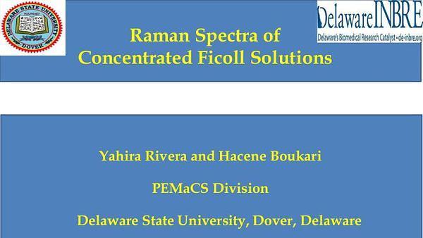 Raman Spectra of Concentrated Ficoll Solutions