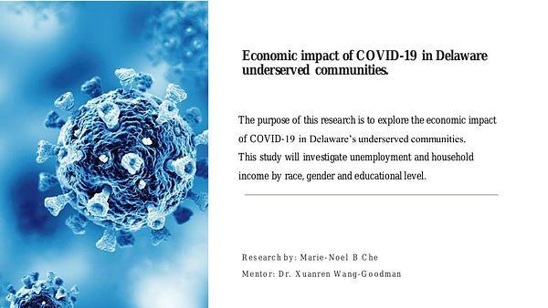 Economic impact of COVID-19 in Delware underserved communities.