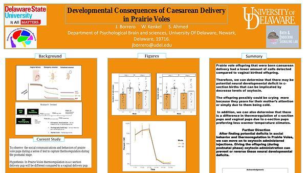Developmental Consequences of Caesarean Delivery in Prairie Voles